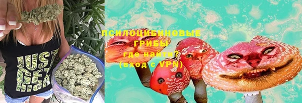 не бодяженный Белокуриха