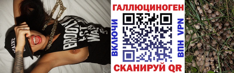 shop наркотические препараты  Гремячинск  Галлюциногенные грибы мицелий 